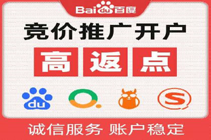 百度竞价代理的投放策略及某行业成功案例
